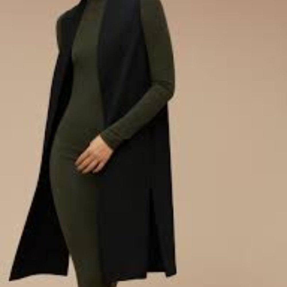 Aritzia Wilfred papillon jacket